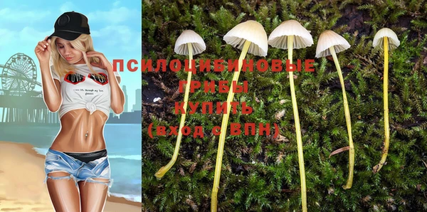 гашиш Беломорск
